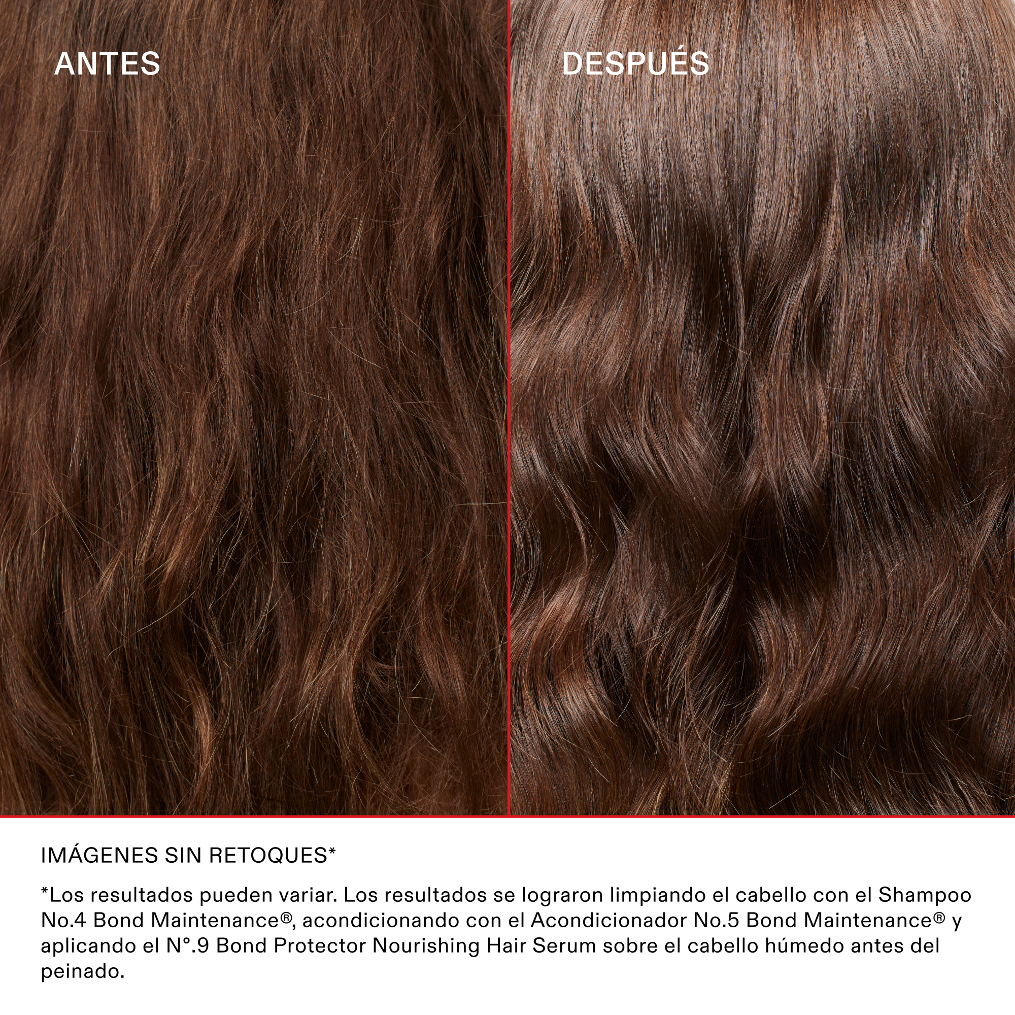 Comparativa de antes y después en cabello castaño seco y con frizz, que se ve más suave, controlado y sano después de usar la rutina Olaplex.